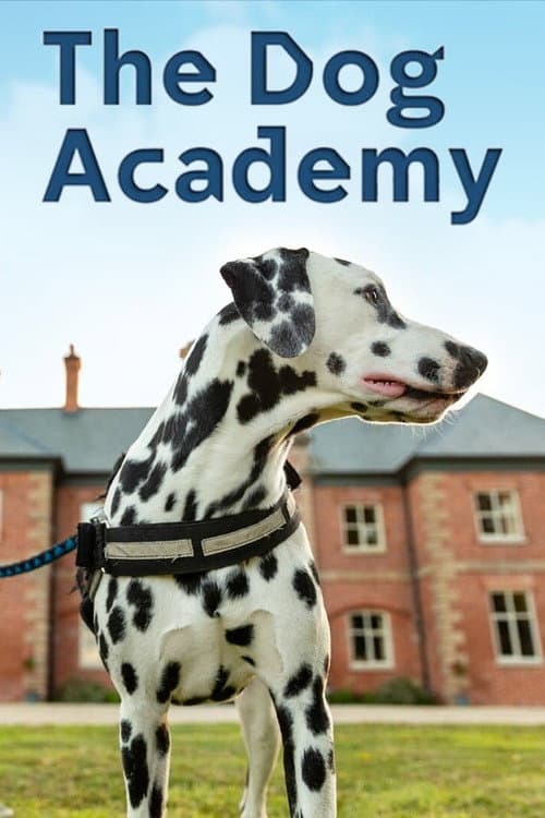 Постер: Bad Dog Academy