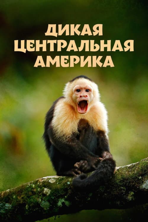 Кадр 2