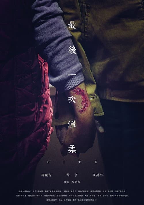 Постер: 最後一次溫柔