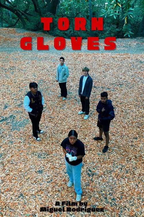 Постер: Torn Gloves