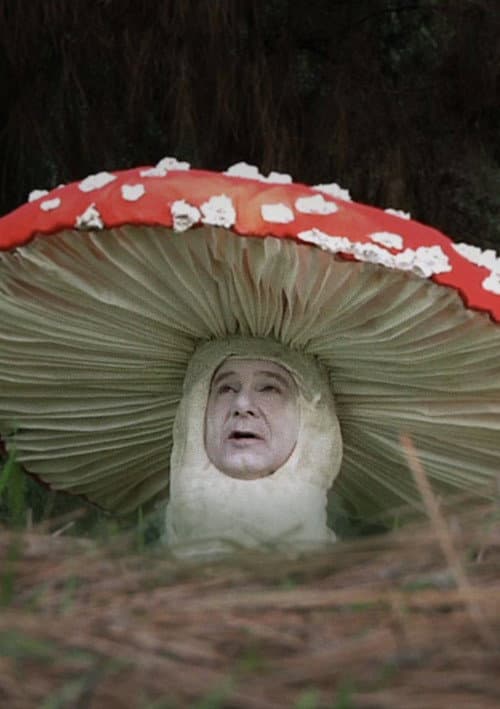Постер: Fly Amanita