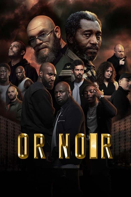 Постер: Or Noir