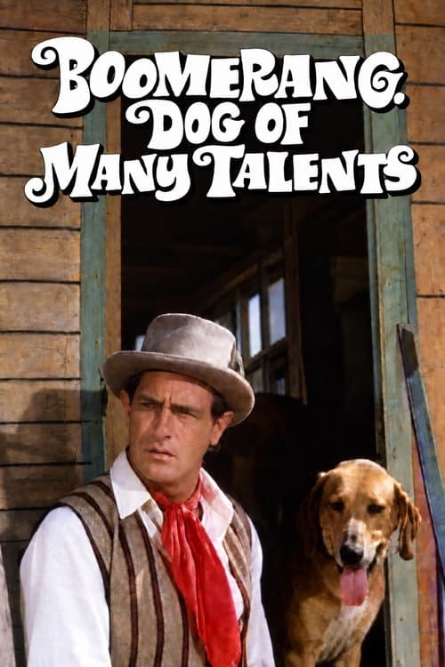 Постер: Boomerang, Dog of Many Talents