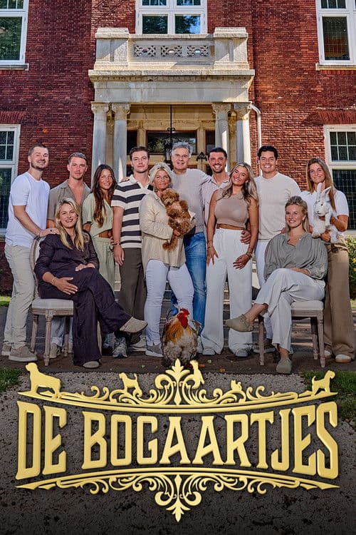 Постер: De Bogaartjes