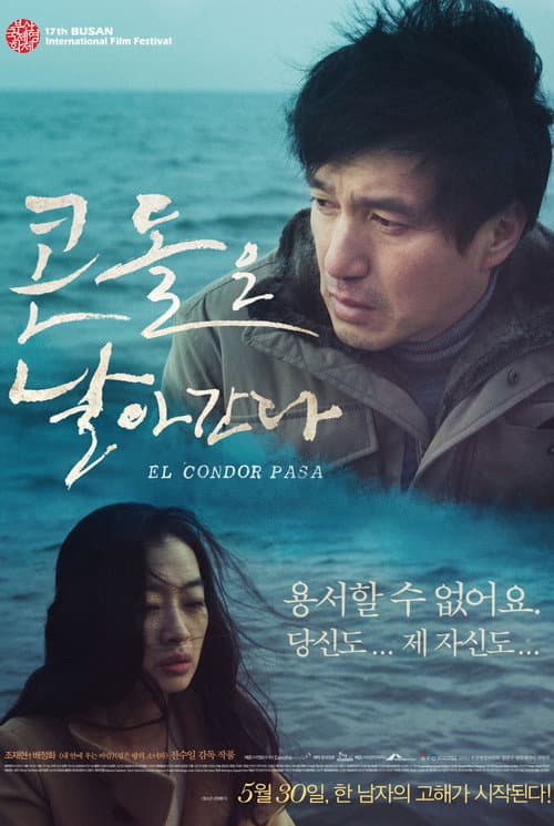 Постер: 콘돌은 날아간다