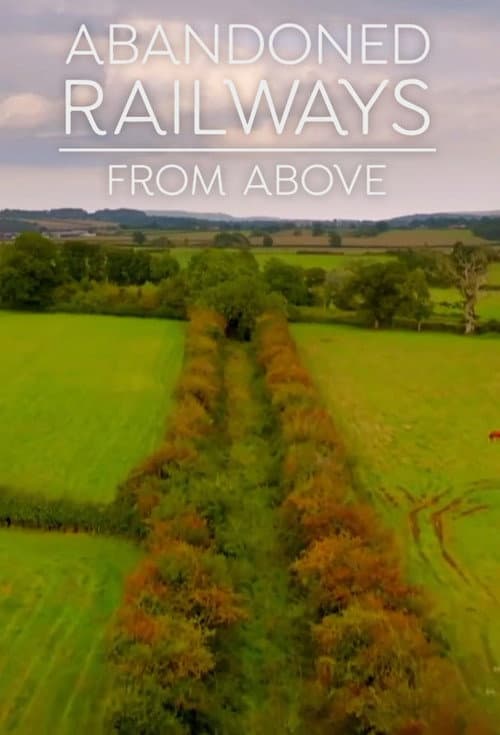 Постер: Abandoned Railways from Above