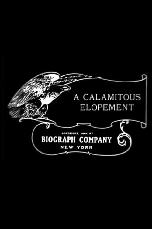 Постер: A Calamitous Elopement