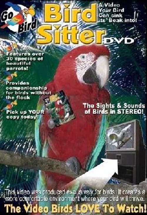 Постер: Bird Sitter