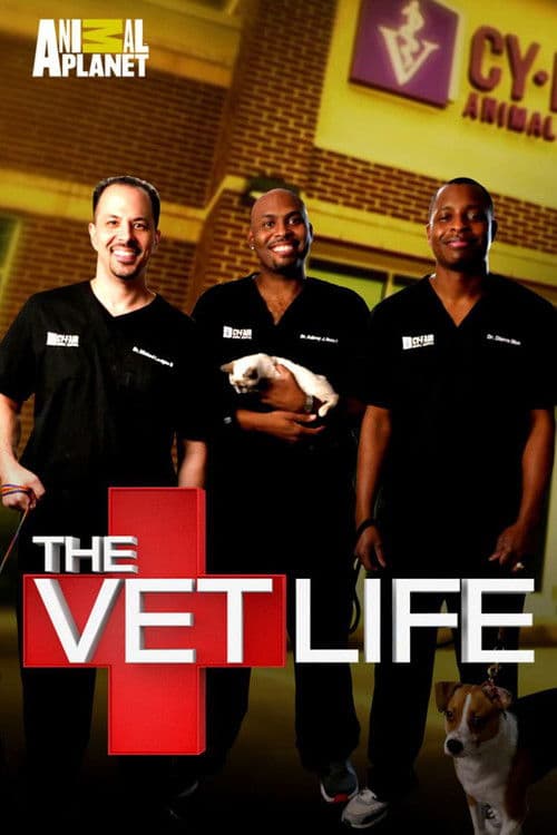 Постер: The Vet Life