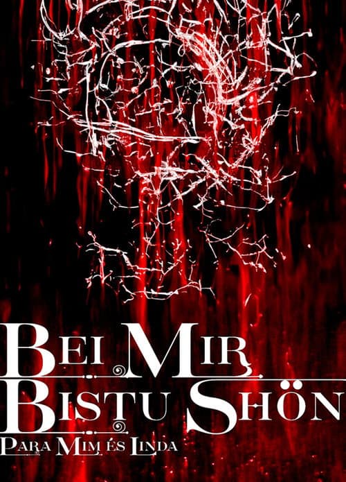 Постер: BEI MIR BISTU SHON: PARA MIM ES LINDA