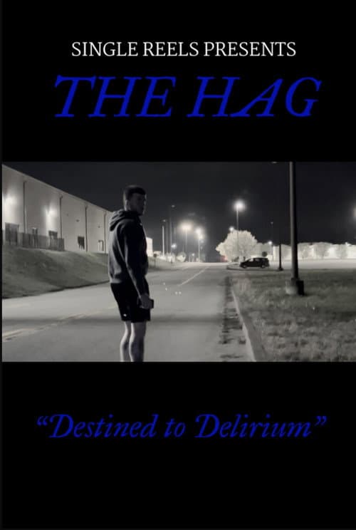 Постер: The Hag