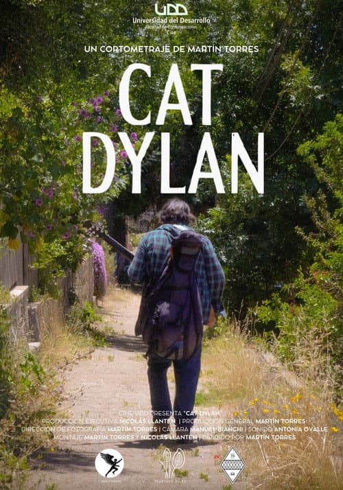 Постер: Cat Dylan