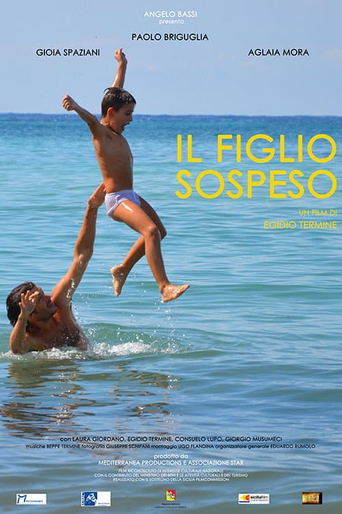 Постер: Il figlio sospeso