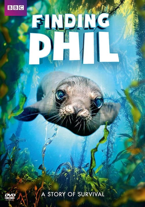 Постер: Finding Phil