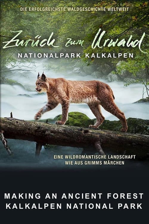 Постер: Zurück zum Urwald - Nationalpark Kalkalpen
