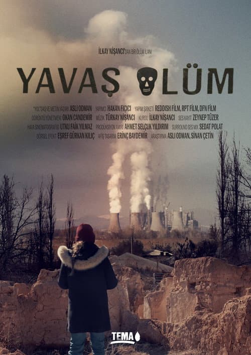 Постер: Yavaş Ölüm