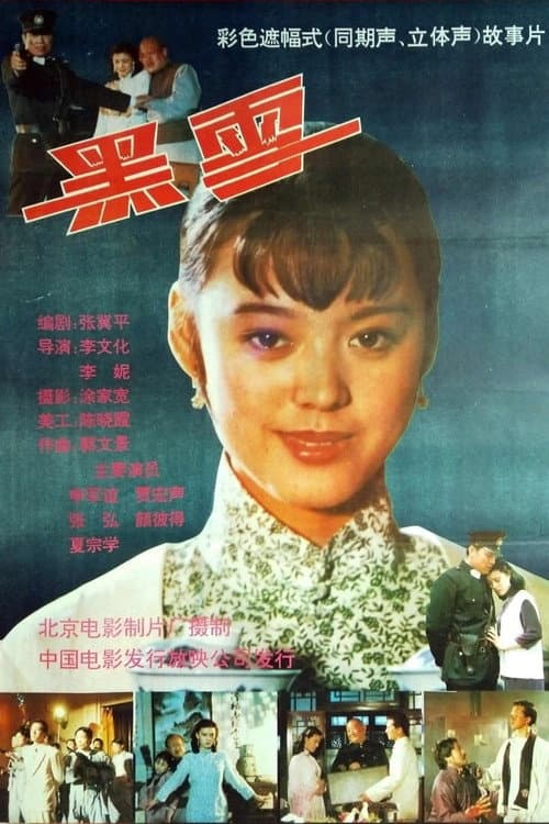 Постер: 黑雪