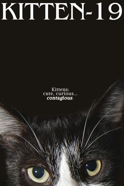 Постер: Kitten-19