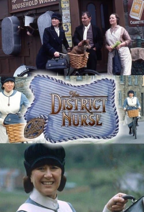 Постер: The District Nurse
