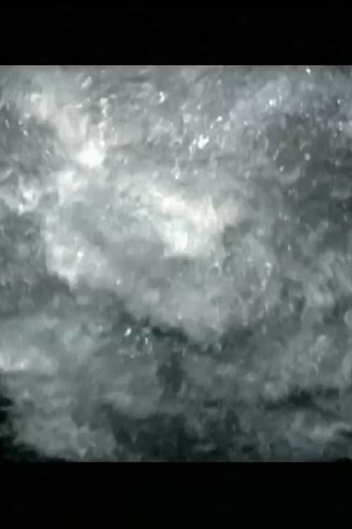 Постер: Nachtwake