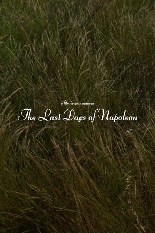 Постер: The Last Days of Napoléon