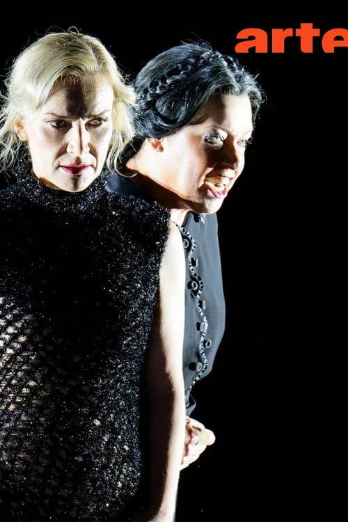 Постер: Richard Strauss : La femme sans ombre Festival d’Aix-en-Provence 2026