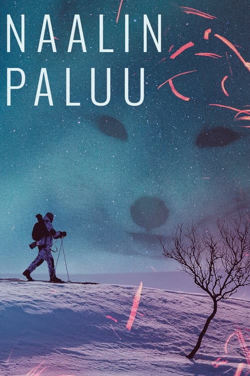 Постер: Naalin paluu