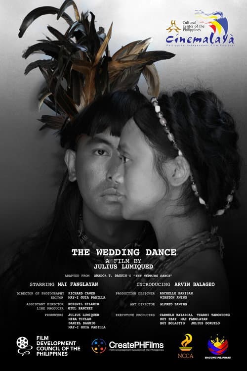 Постер: The Wedding Dance