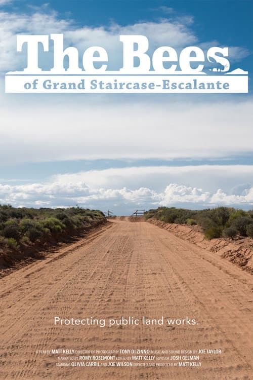 Постер: The Bees of Grand Staircase-Escalante