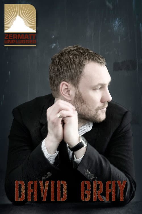 Постер: David Gray: Zermatt Unplugged
