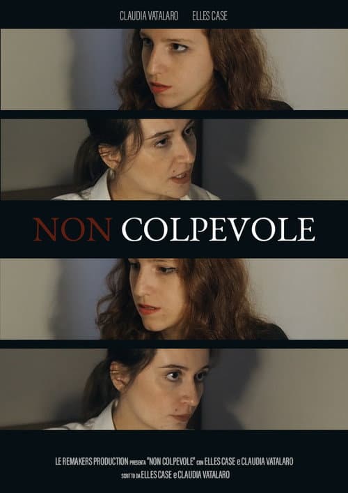 Постер: Non colpevole