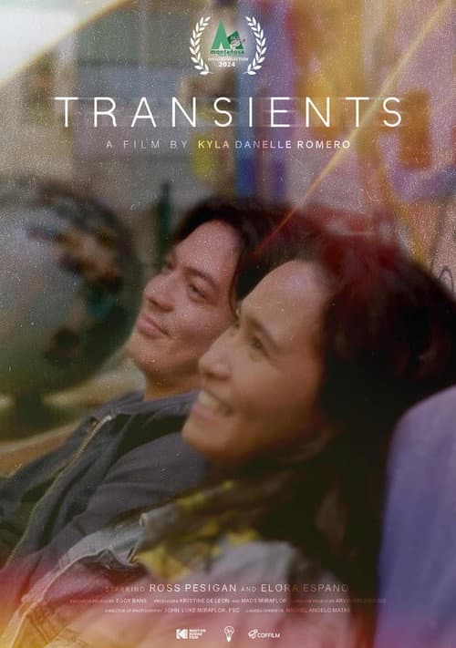 Постер: Transients