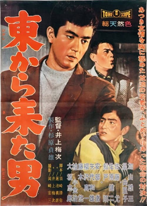 Постер: 東から来た男