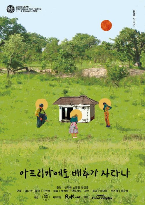 Постер: 아프리카에도 배추가 자라나?
