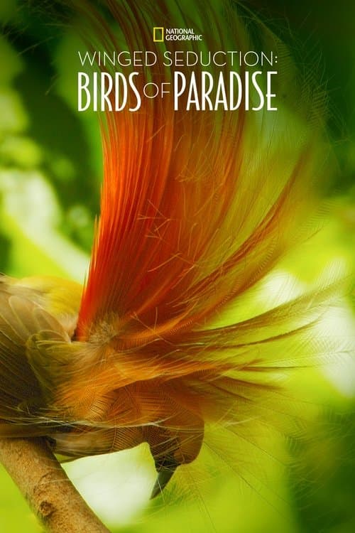 Постер: Winged Seduction: Birds of Paradise