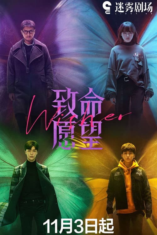 Постер: 致命愿望