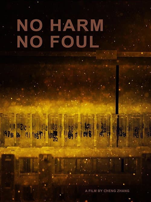 Постер: No Harm No Foul
