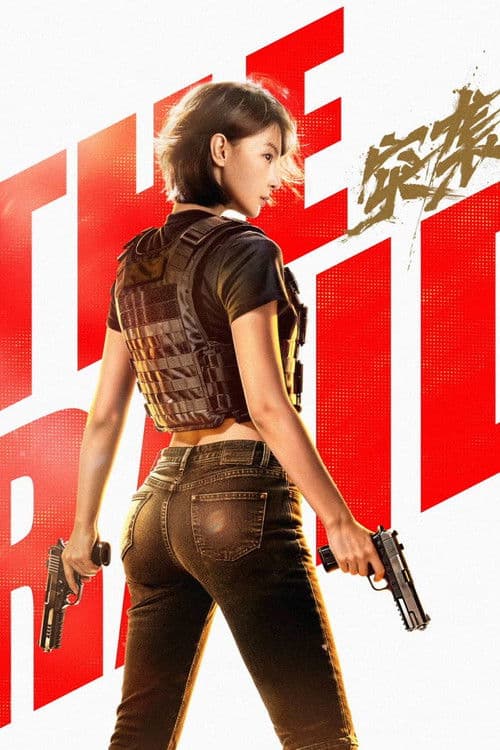 Постер: 突袭