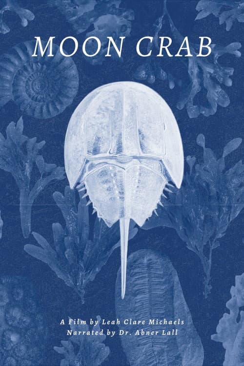 Постер: Moon Crab