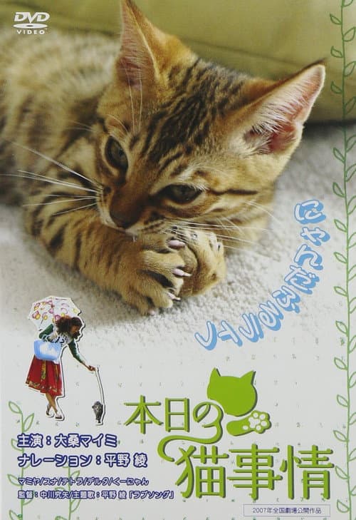 Постер: 本日の猫事情