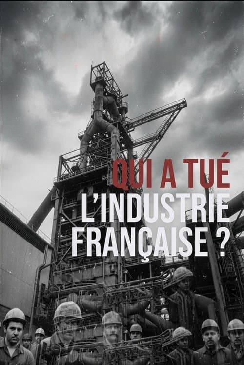 Постер: Qui a tué l'industrie française ?