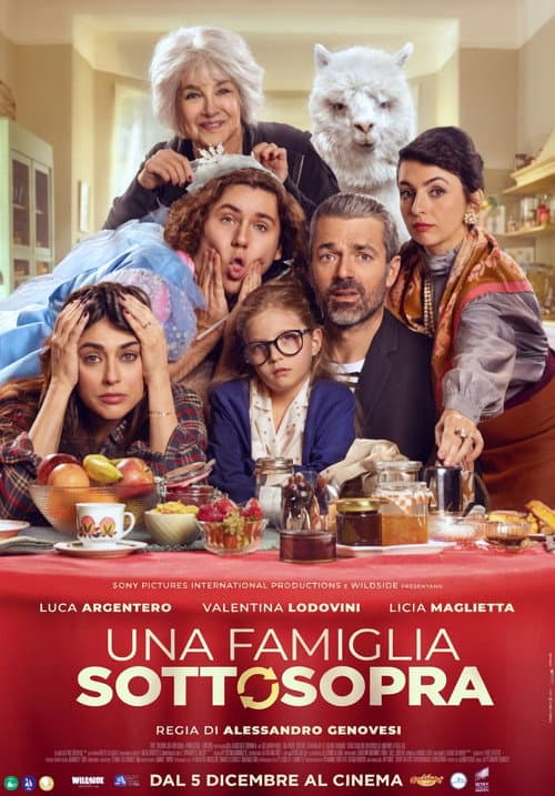 Постер: Una famiglia sottosopra