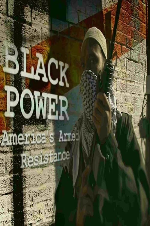 Постер: Black Power: America's Armed Resistance