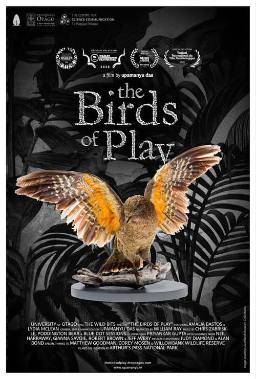 Постер: The Birds of Play