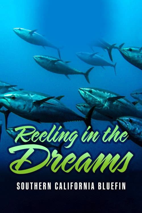 Постер: Reeling in the Dreams: Southern California Bluefin