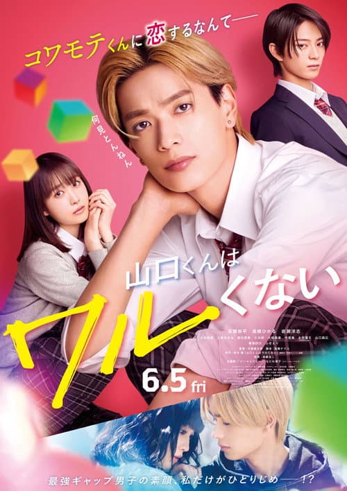Постер: 山口くんはワルくない