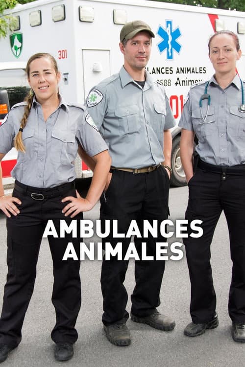 Постер: Ambulances animales