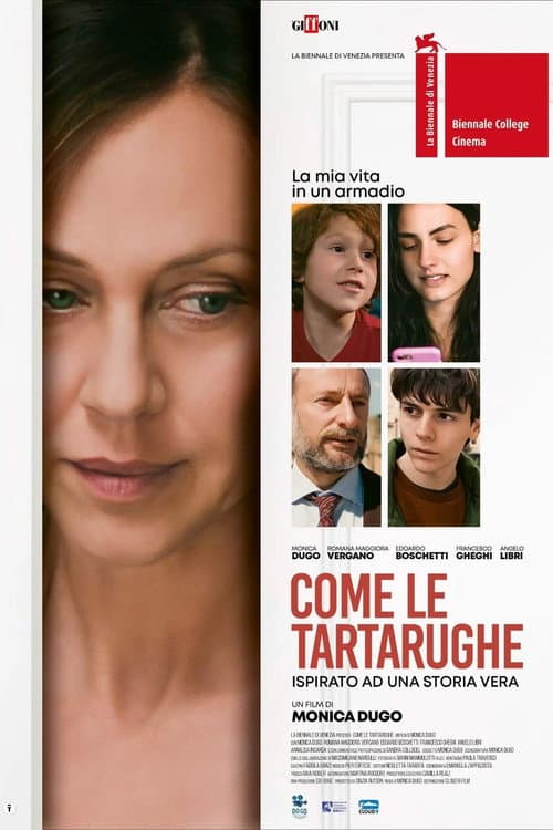 Постер: Come le tartarughe