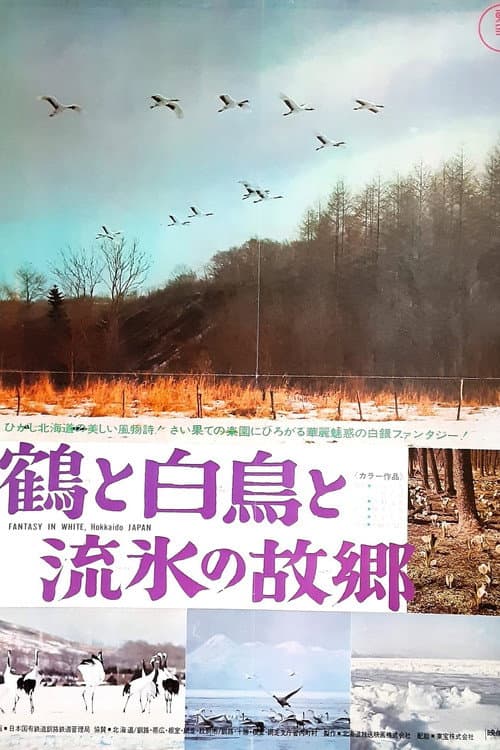 Постер: 鶴と白鳥と流氷の故郷