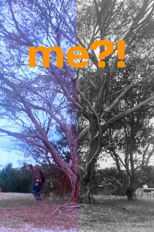 Постер: me?!
